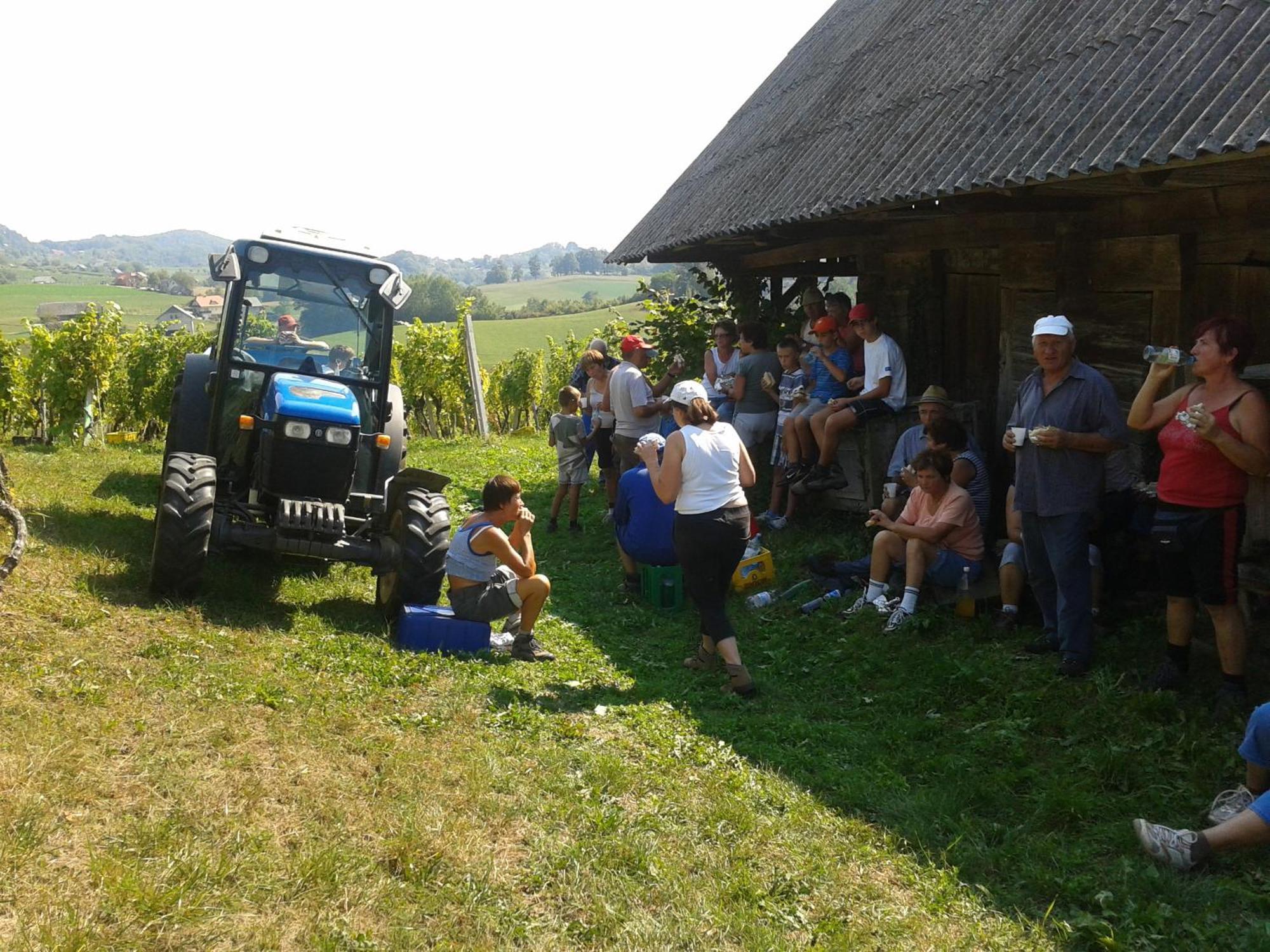 Grobelnik Tourist Farm Villa Sevnica Eksteriør bilde